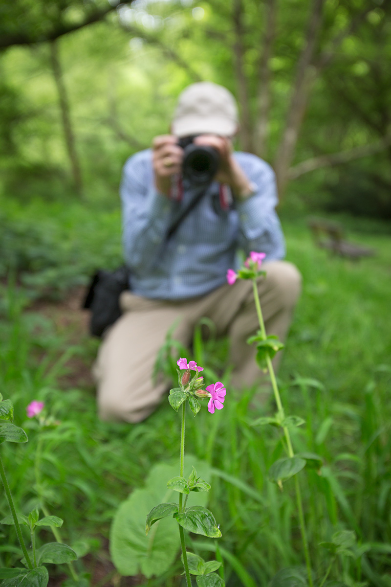 photographer shooting spring flowers