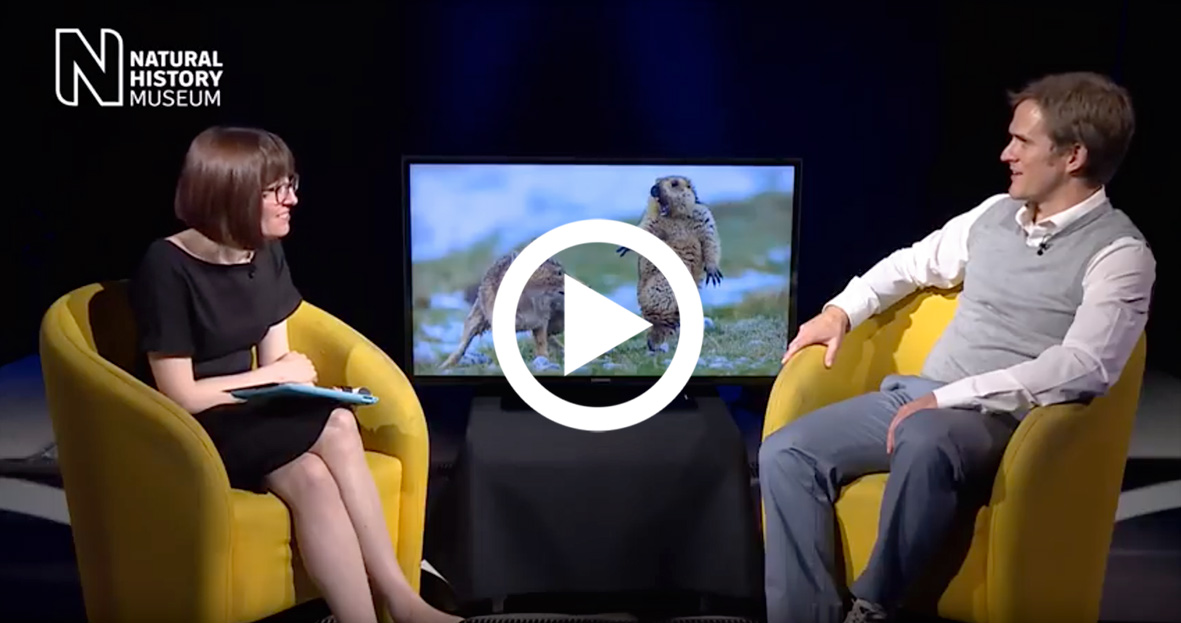 Presenting at WPY
